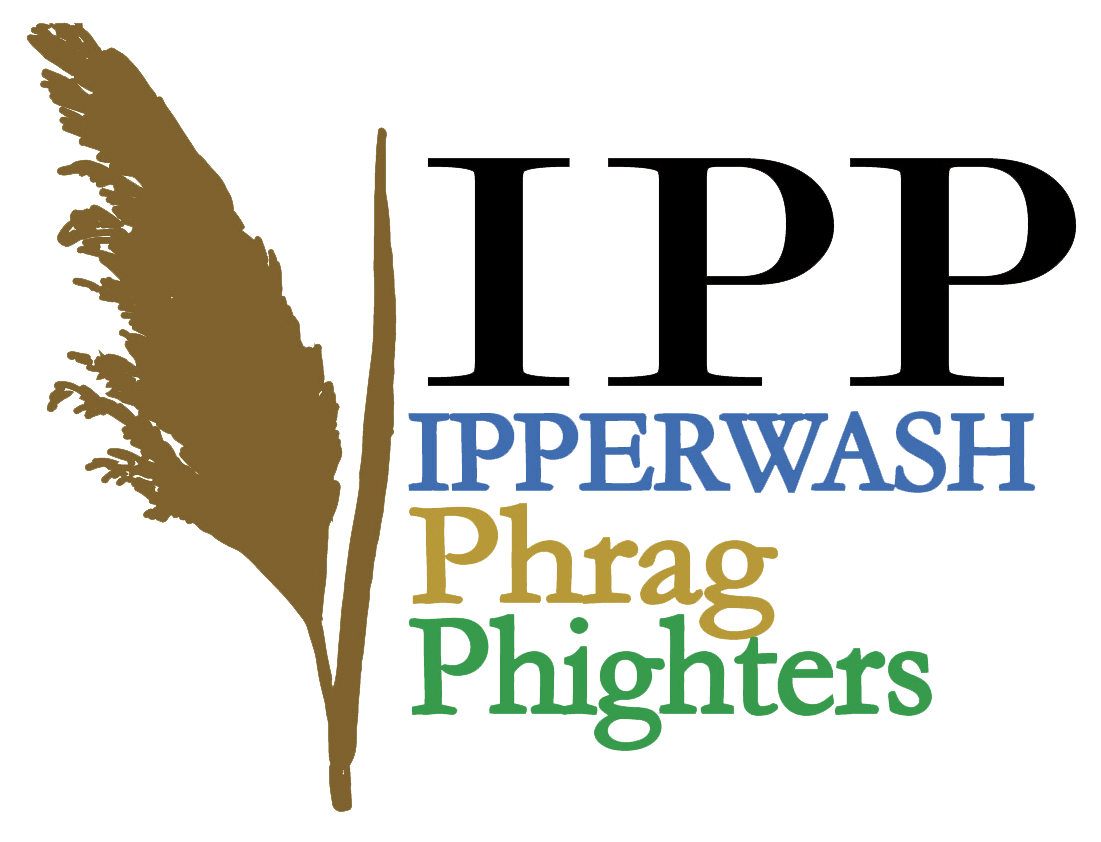 IPP_Logo