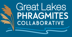 Great Lakes Collaborative