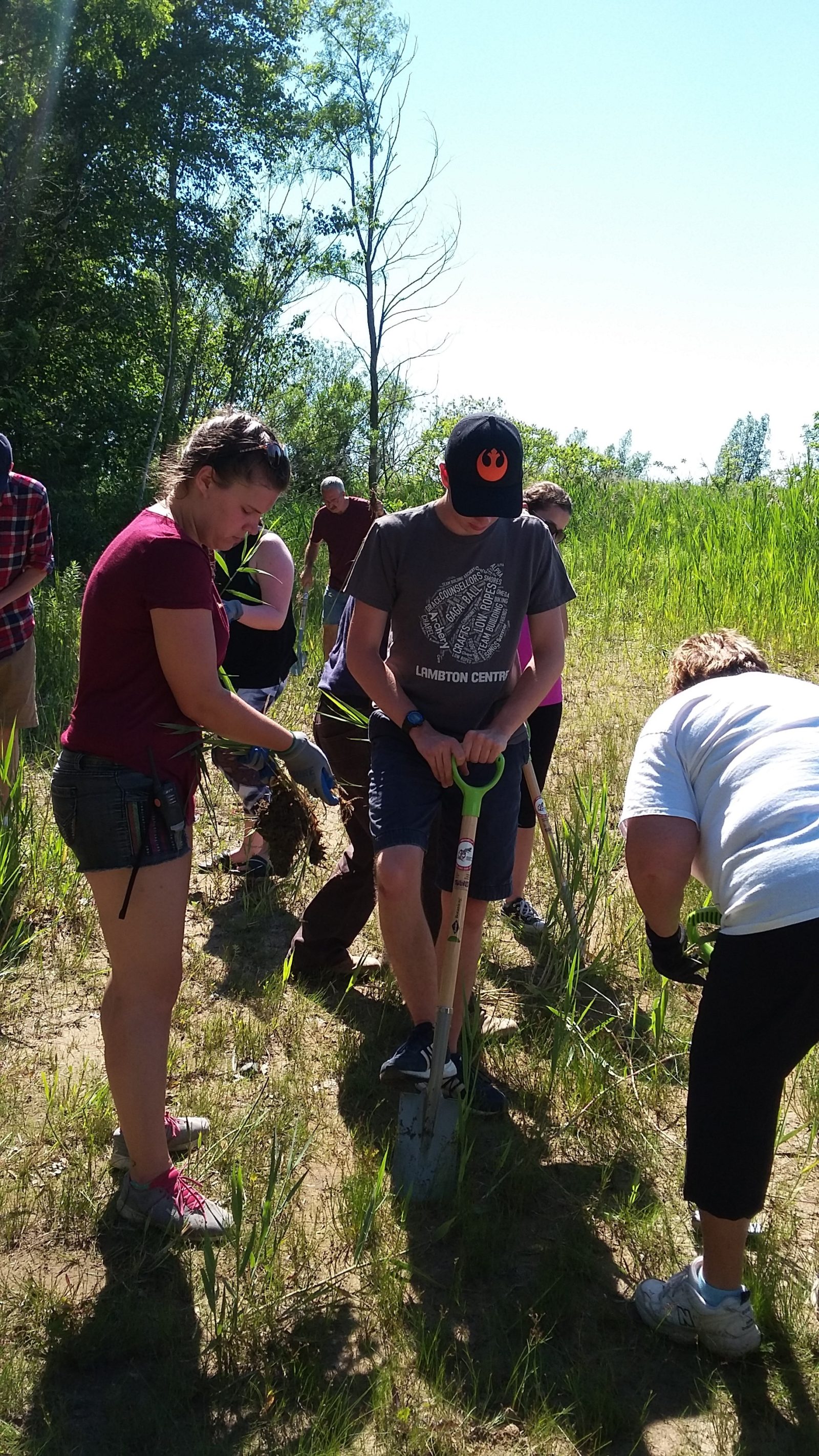 Photos Lambton Shores Phragmites Community Group