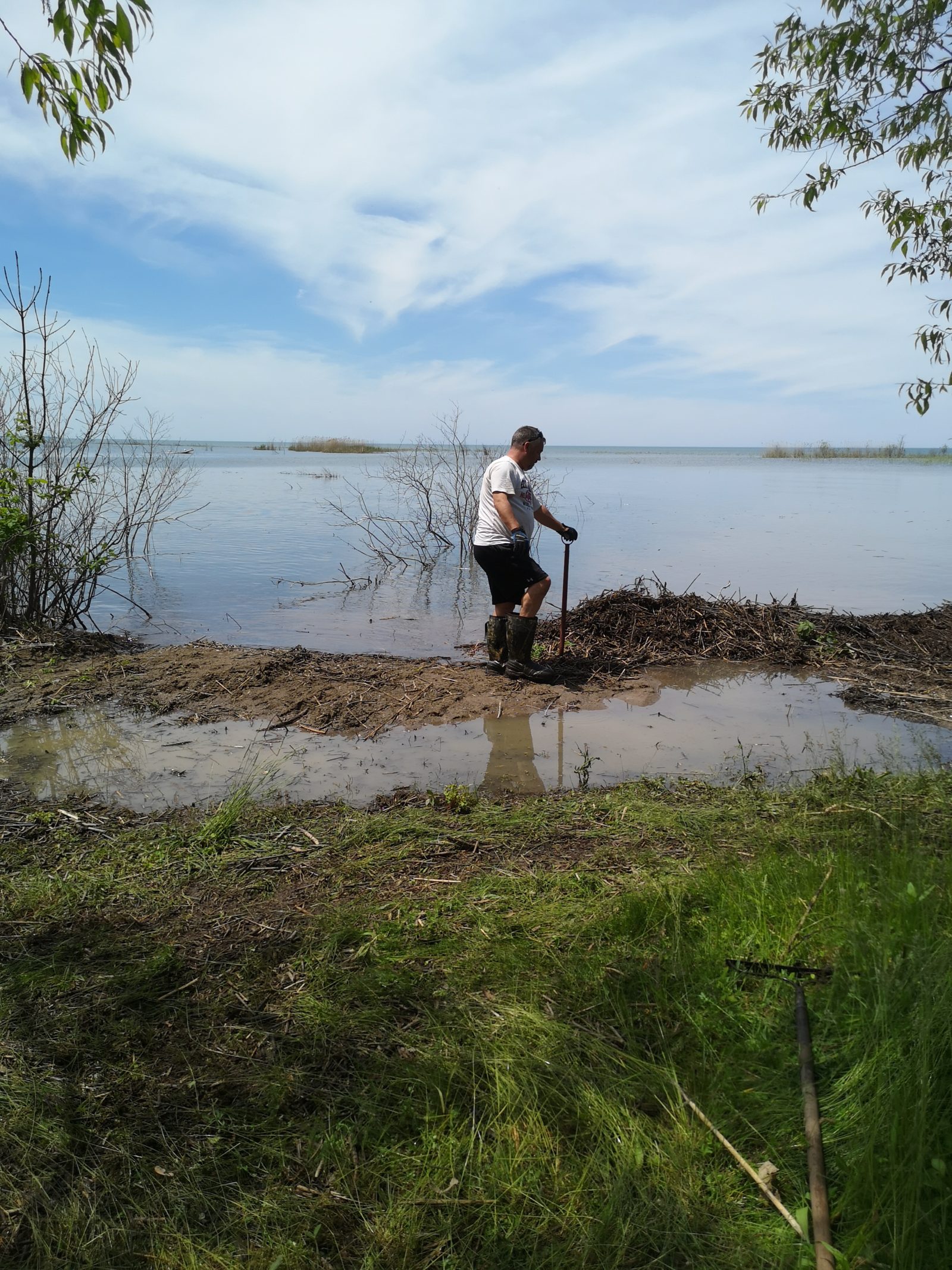 Photos Lambton Shores Phragmites Community Group