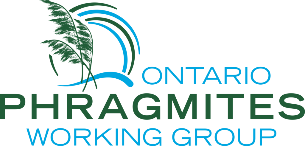 Ontario Phragmites Working Group